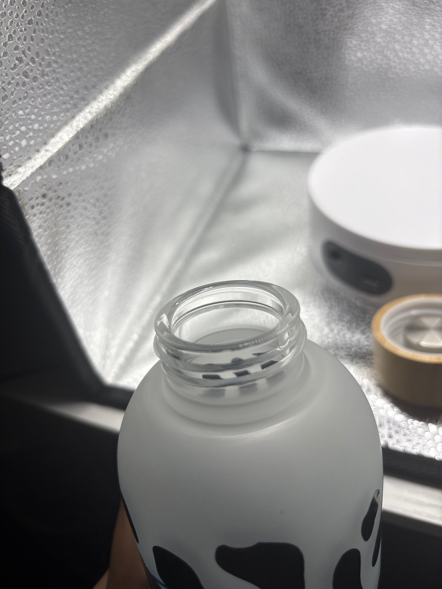 Cow Print 24oz Bottle